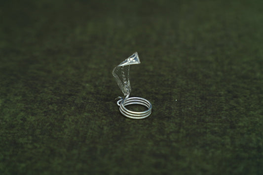 Pure Silver Nagam-3 Grams