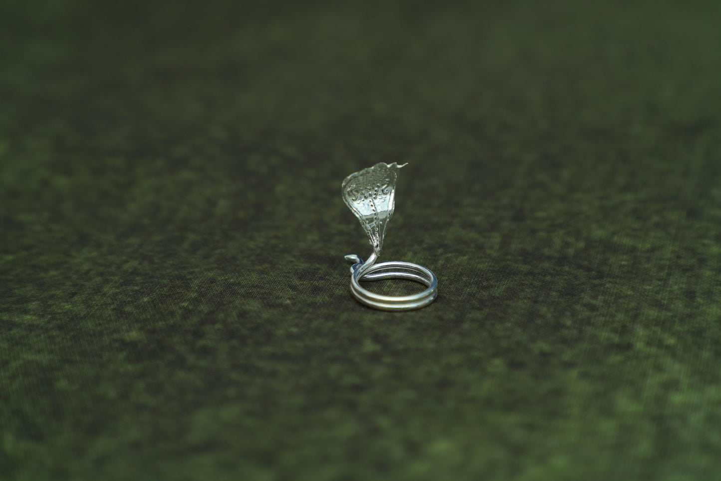 Pure Silver Five Face Nagam-2 Grams