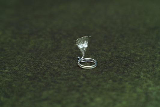 Pure Silver Five Face Nagam-2 Grams