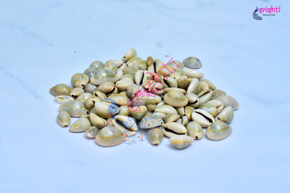 Cowrie Shells (Pack of 21)-M02