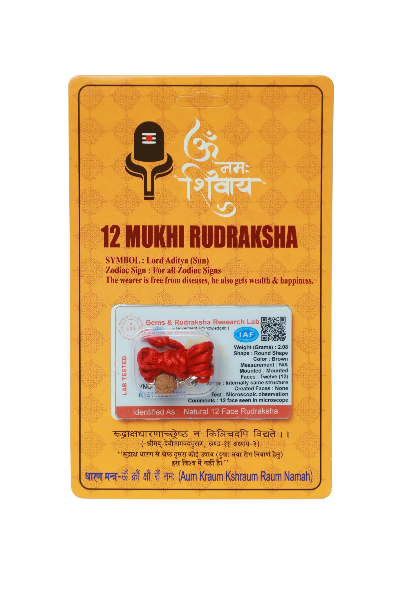 Rudraksha Pendant-12 Face