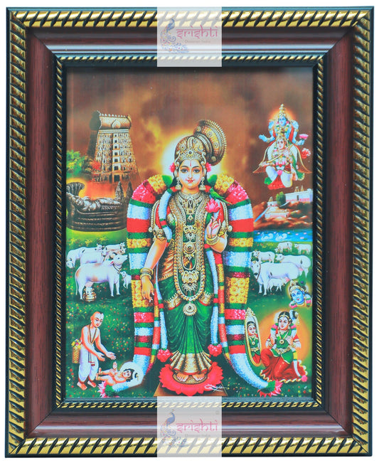 Andal Photo-M04 (8 X 10 Inches)