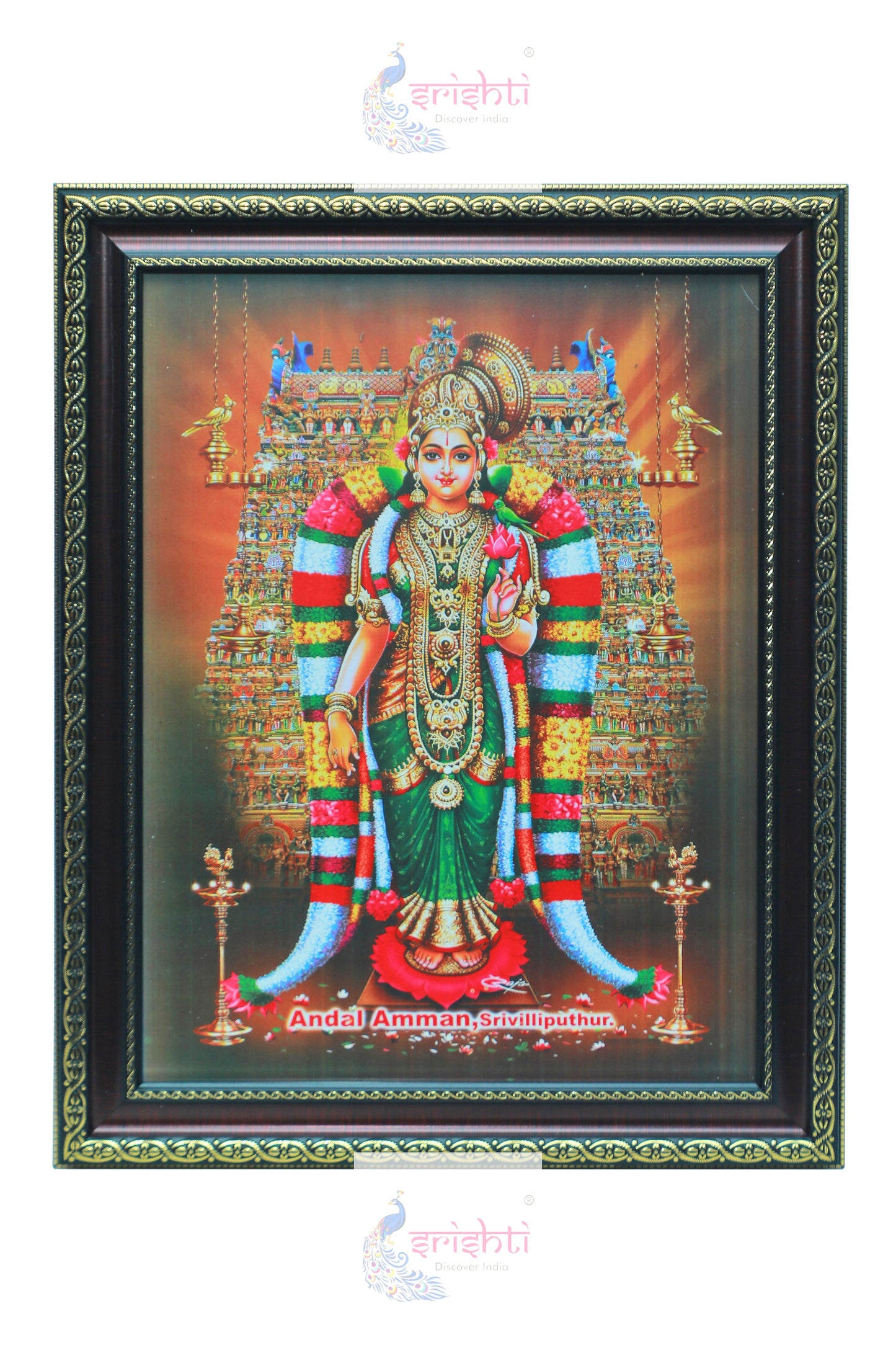 Andal Photo-M01 (14.5 X 18.5 Inches)