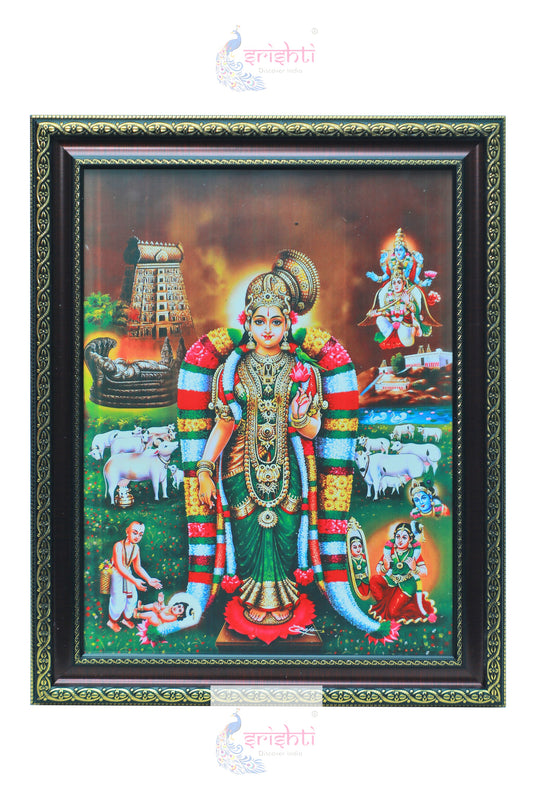 Andal Photo-M02 (14.5 X 18.5 Inches)