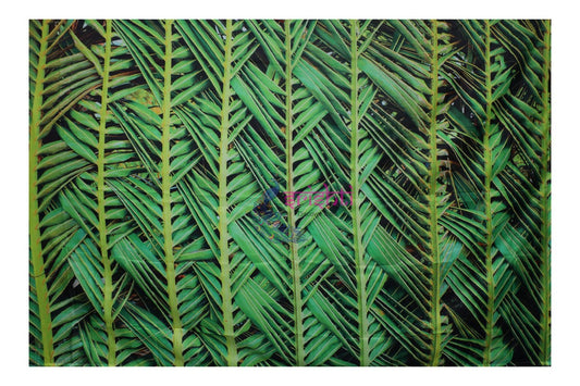 Backdrop Screen Green Color with Cocunt Leaf Pattern