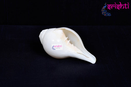 Blowing Edampuri Shankh-E3