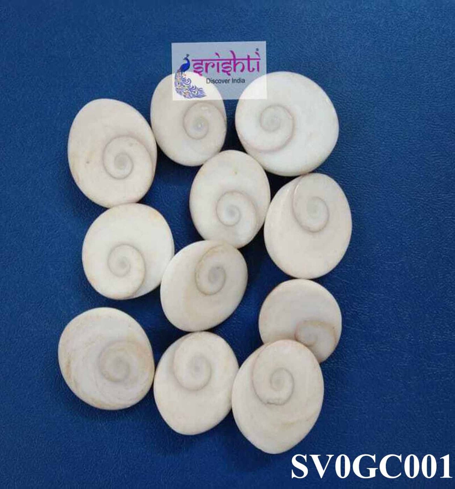 Clear Gomukh Chakra/Gomati Chakra-SP01-Pack of 11