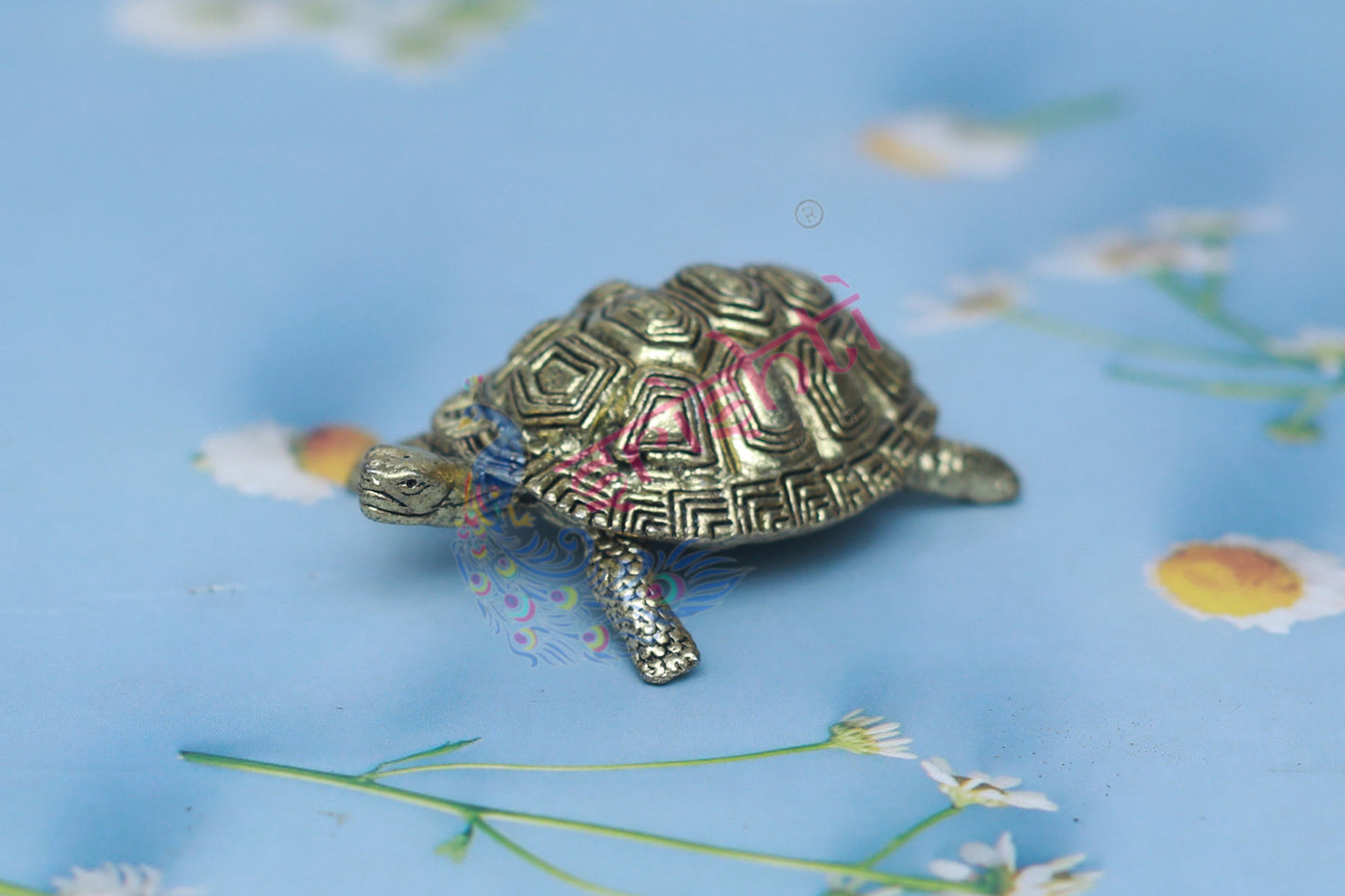 Premium Brass Tortoise-1 Inches