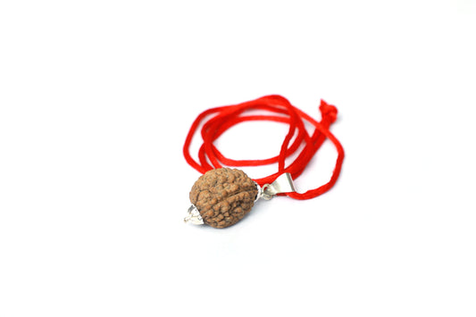 Rudraksha Pendant-2 Face