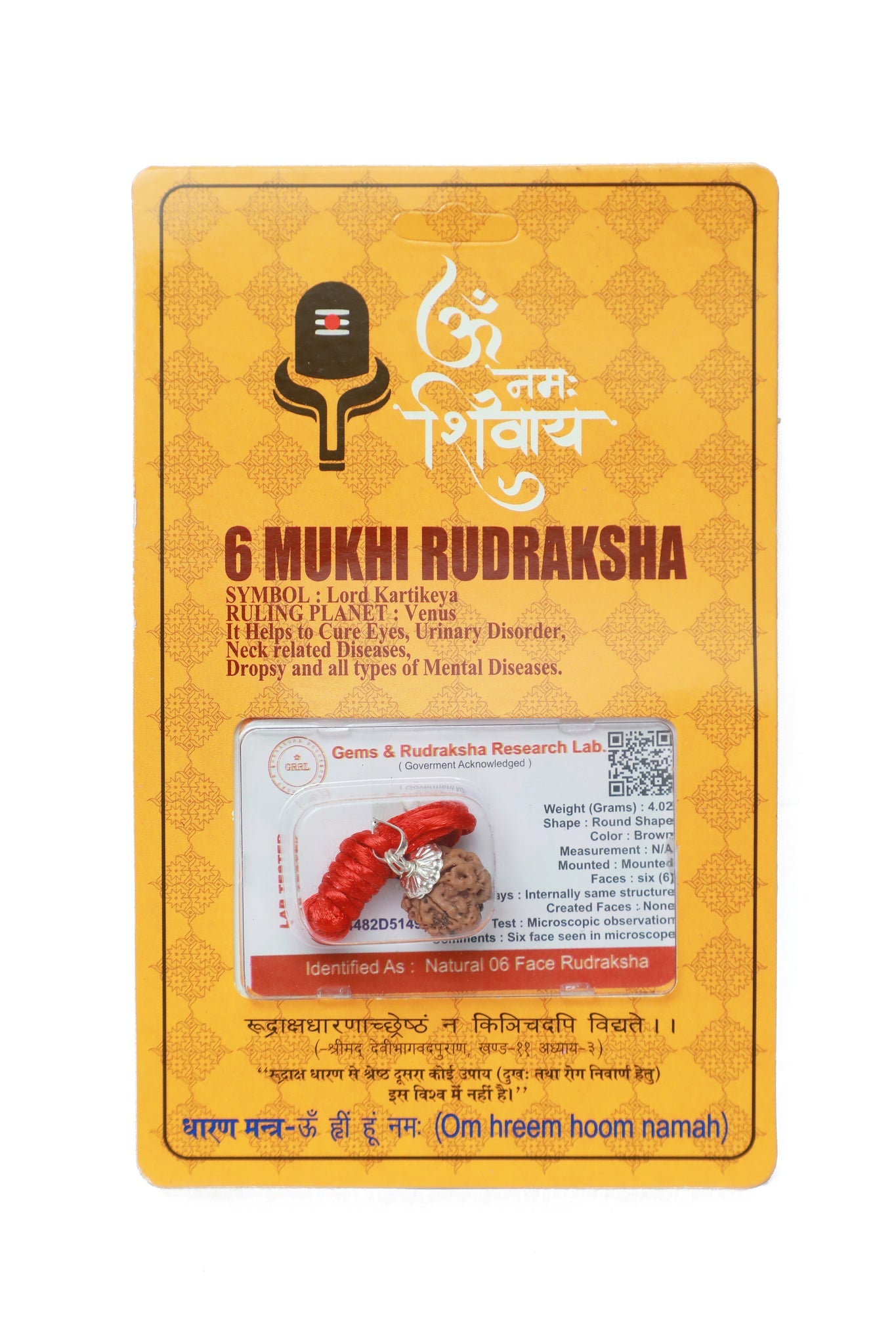Rudraksha Pendant-6 Face
