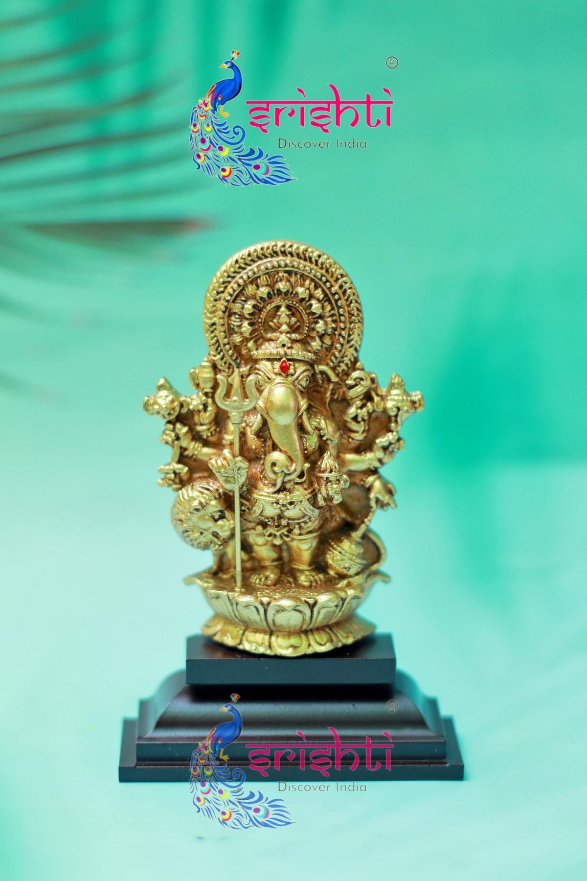 Kan Drishti Ganesha with Yantra-5 Inches