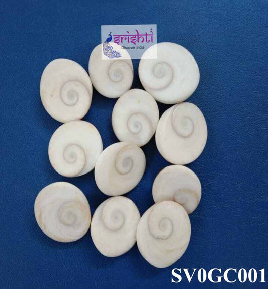 Clear Gomukh Chakra/Gomati Chakra-SP01-Pack of 11