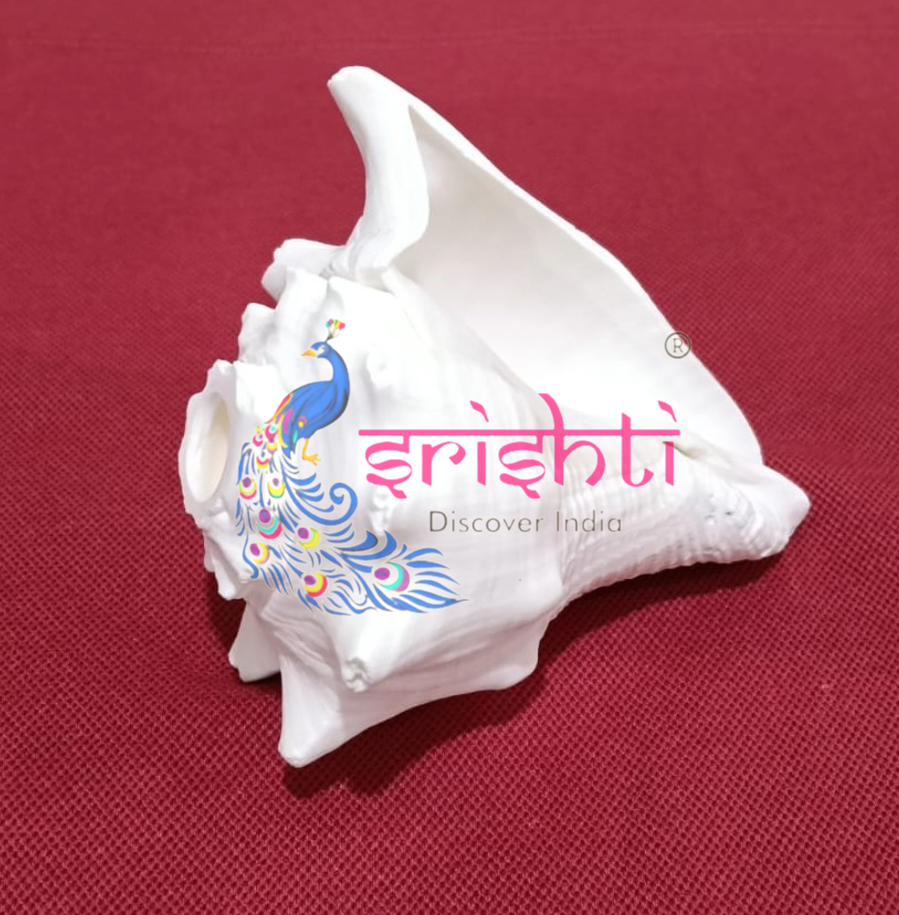 Blowing Shankh-V1