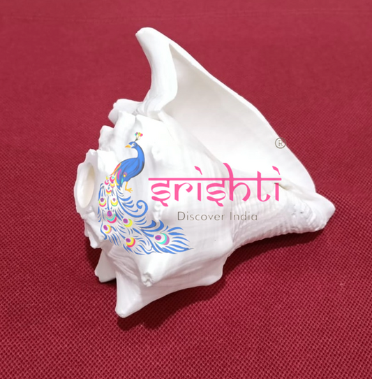 Blowing Shankh-V1