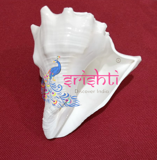 Blowing Shankh-V1